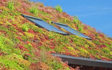 Foxendown living roof systems